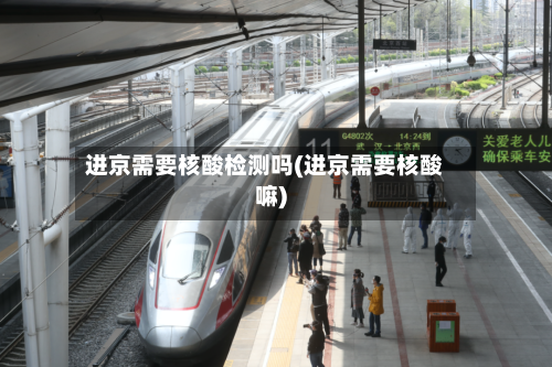 进京需要核酸检测吗(进京需要核酸嘛)