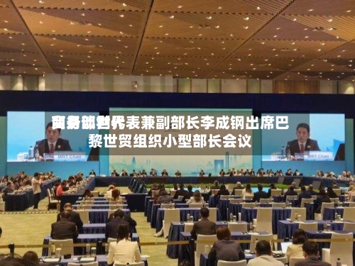 商务部世界贸易谈判代表兼副部长李成钢出席巴黎世贸组织小型部长会议