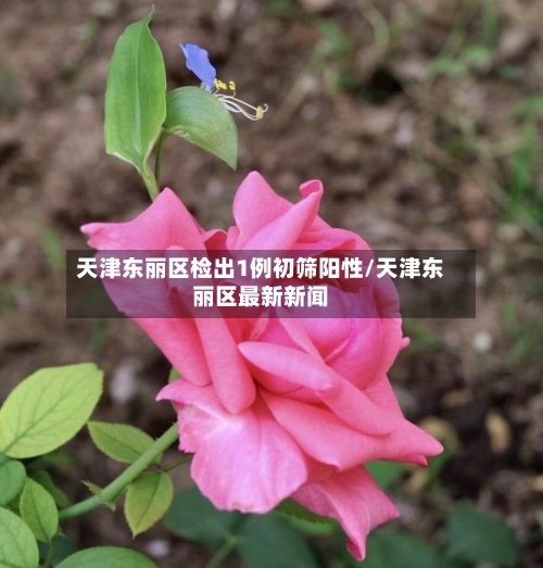 天津东丽区检出1例初筛阳性/天津东丽区最新新闻
