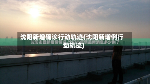 沈阳新增确诊行动轨迹(沈阳新增例行动轨迹)-第3张图片