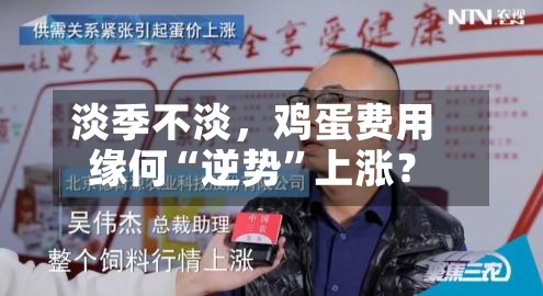 淡季不淡，鸡蛋费用缘何“逆势	”上涨？-第2张图片