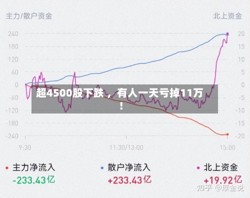 超4500股下跌 	，有人一天亏掉11万！-第2张图片