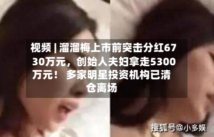 视频 | 溜溜梅上市前突击分红6730万元，创始人夫妇拿走5300万元！ 多家明星投资机构已清仓离场-第2张图片