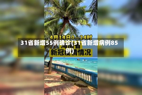 31省新增55例确诊(31省新增病例85例)