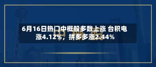 6月16日热门中概股多数上涨 台积电涨4.12%，拼多多涨2.44%-第3张图片