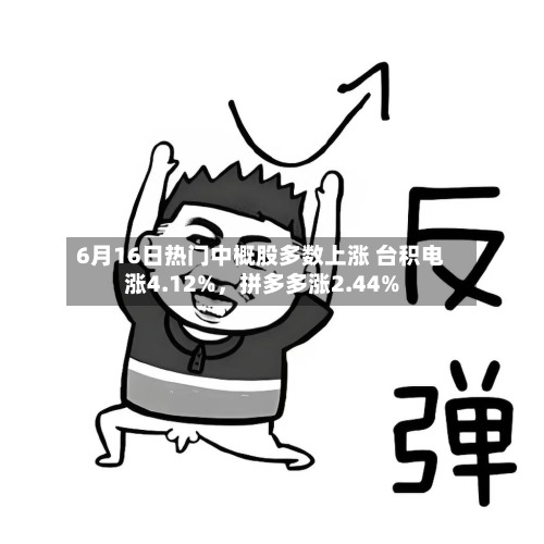6月16日热门中概股多数上涨 台积电涨4.12%，拼多多涨2.44%-第2张图片