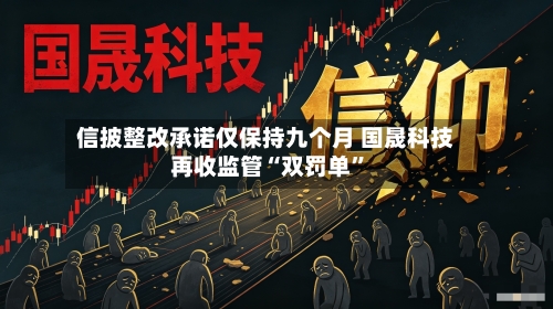 信披整改承诺仅保持九个月 国晟科技再收监管“双罚单	”-第2张图片
