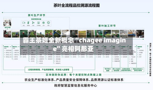 霸王茶姬全新概念“chagee imagine”亮相阿那亚-第3张图片