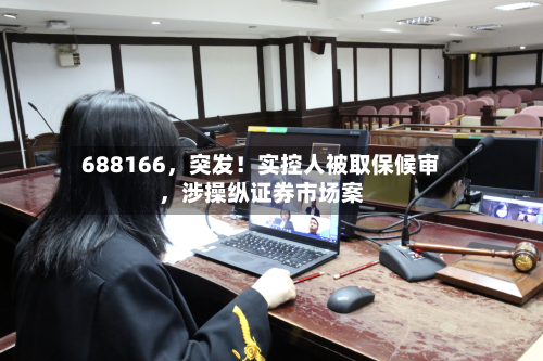 688166，突发！实控人被取保候审，涉操纵证券市场案-第2张图片