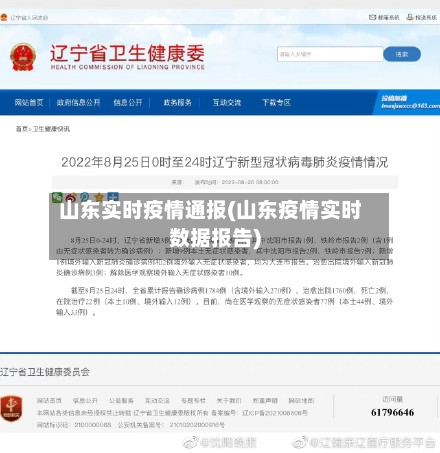 山东实时疫情通报(山东疫情实时数据报告)