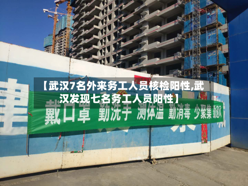 【武汉7名外来务工人员核检阳性,武汉发现七名务工人员阳性】