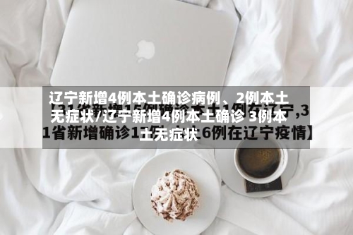 辽宁新增4例本土确诊病例、2例本土无症状/辽宁新增4例本土确诊 3例本土无症状-第2张图片