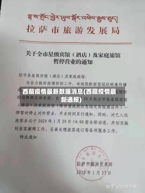 西藏疫情最新数据消息(西藏疫情最新通报)-第2张图片