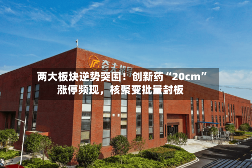 两大板块逆势突围！创新药“20cm	”涨停频现，核聚变批量封板-第3张图片
