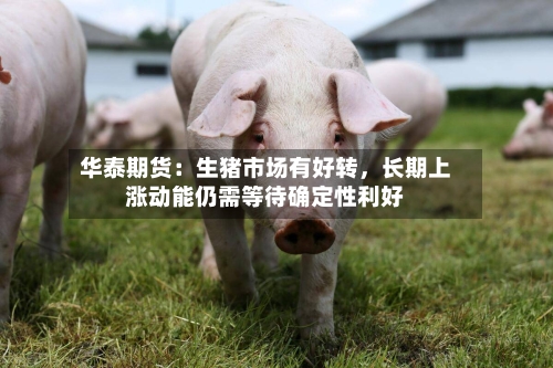 华泰期货：生猪市场有好转	，长期上涨动能仍需等待确定性利好-第3张图片