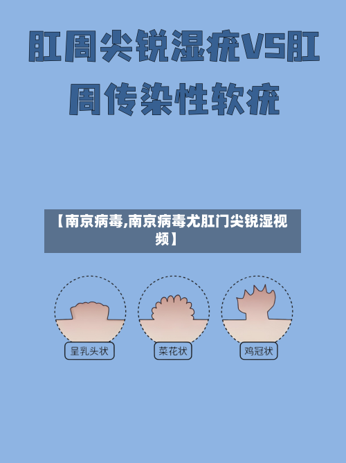 【南京病毒,南京病毒尤肛门尖锐湿视频】