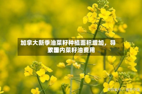 加拿大新季油菜籽种植面积增加	，导致国内菜籽油费用下滑-第2张图片