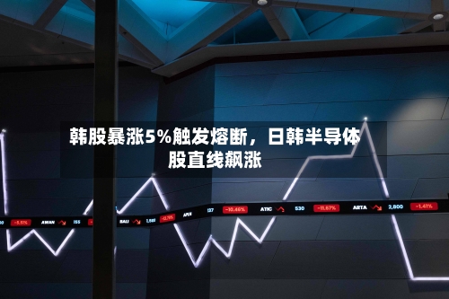 韩股暴涨5%触发熔断，日韩半导体股直线飙涨-第2张图片