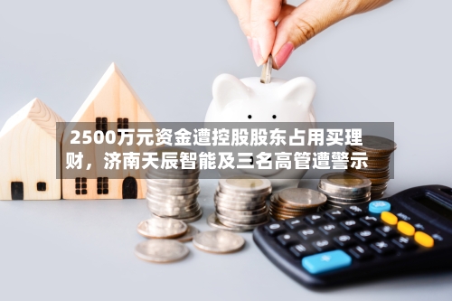 2500万元资金遭控股股东占用买理财，济南天辰智能及三名高管遭警示-第3张图片