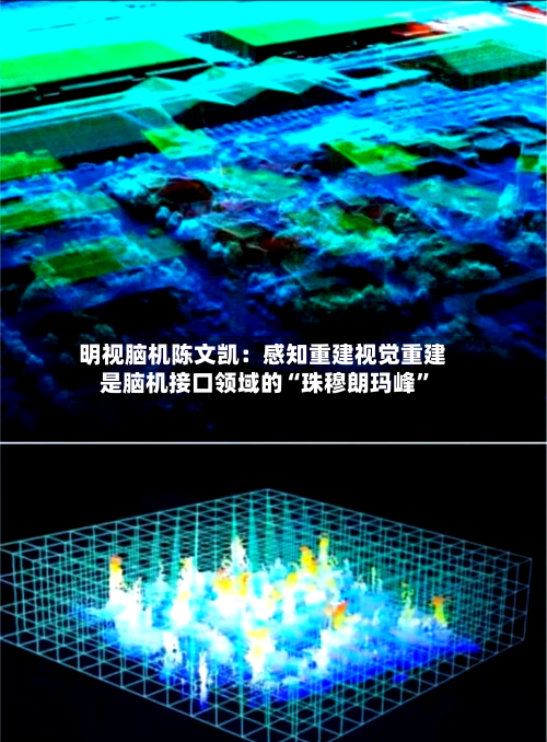 明视脑机陈文凯：感知重建视觉重建是脑机接口领域的“珠穆朗玛峰”-第2张图片