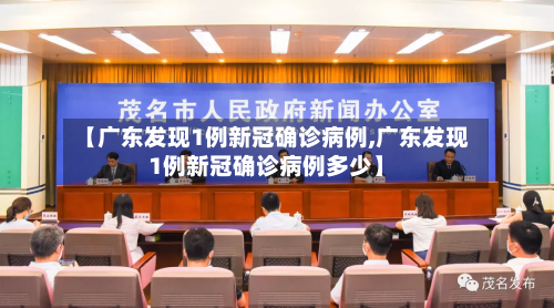 【广东发现1例新冠确诊病例,广东发现1例新冠确诊病例多少】-第3张图片