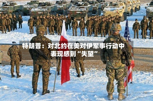 特朗普：对北约在美对伊军事行动中表现感到“失望”-第3张图片