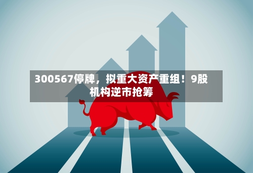 300567停牌，拟重大资产重组！9股机构逆市抢筹-第3张图片