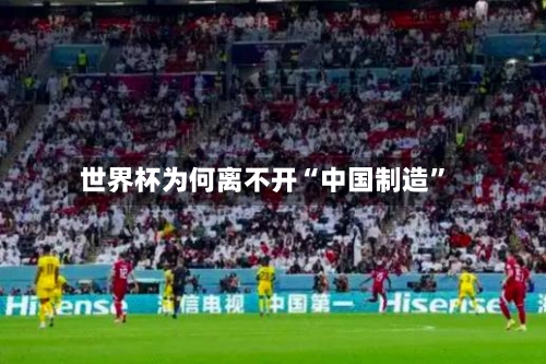 世界杯为何离不开“中国制造”-第2张图片