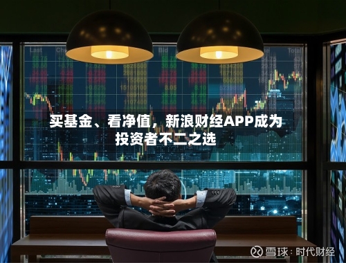 买基金、看净值，新浪财经APP成为投资者不二之选-第3张图片