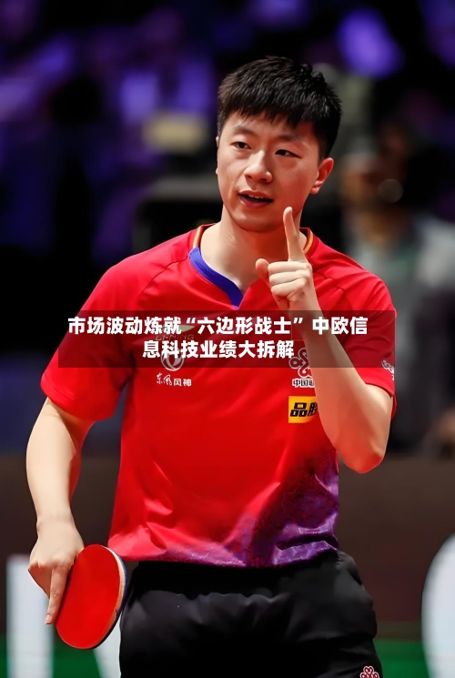 市场波动炼就“六边形战士	” 中欧信息科技业绩大拆解-第2张图片