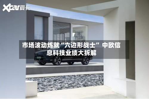 市场波动炼就“六边形战士	” 中欧信息科技业绩大拆解-第3张图片