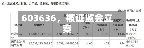 603636，被证监会立案-第3张图片