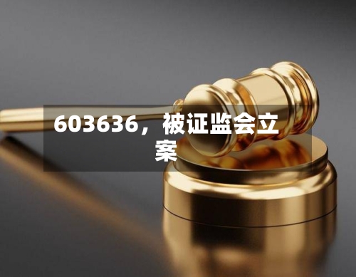 603636，被证监会立案-第2张图片
