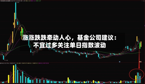涨涨跌跌牵动人心，基金公司建议：不宜过多关注单日指数波动-第3张图片