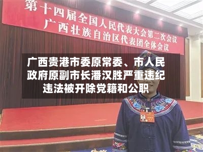 广西贵港市委原常委、市人民政府原副市长潘汉胜严重违纪违法被开除党籍和公职-第2张图片