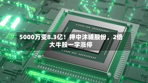 5000万变8.3亿！押中沐曦股份，2倍大牛股一字涨停-第3张图片