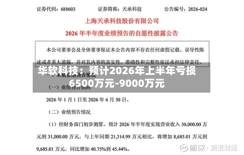 华软科技:预计2026年上半年亏损6500万元-9000万元-第3张图片