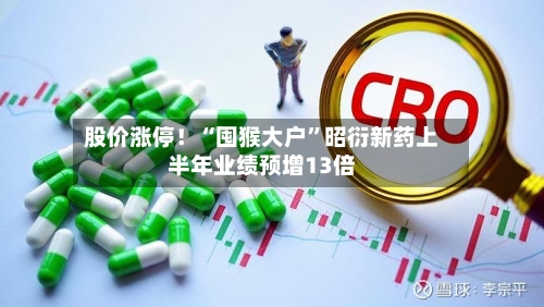 股价涨停！“囤猴大户”昭衍新药上半年业绩预增13倍-第2张图片