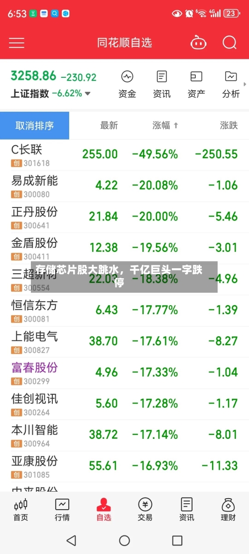 存储芯片股大跳水，千亿巨头一字跌停-第3张图片