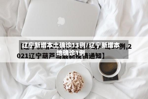 辽宁新增本土确诊13例/辽宁新增本地确诊1例
