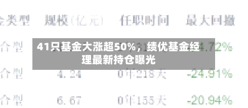 41只基金大涨超50%，绩优基金经理最新持仓曝光-第3张图片