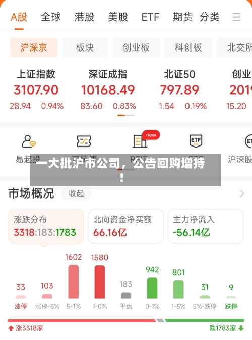 一大批沪市公司，公告回购增持！-第3张图片