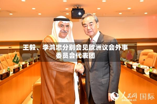 王毅、李鸿忠分别会见欧洲议会外事委员会代表团-第2张图片