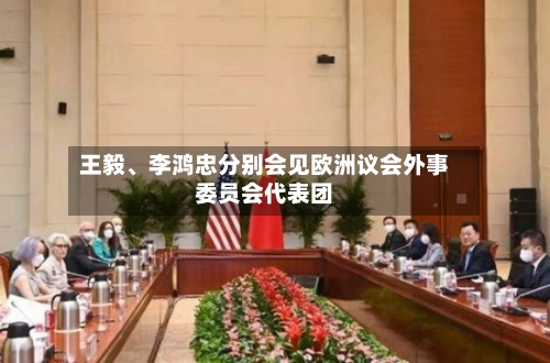 王毅、李鸿忠分别会见欧洲议会外事委员会代表团-第3张图片