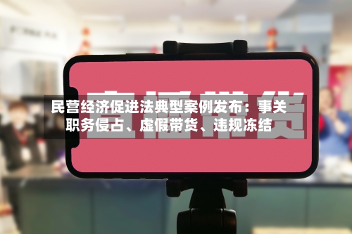 民营经济促进法典型案例发布：事关职务侵占、虚假带货、违规冻结-第2张图片