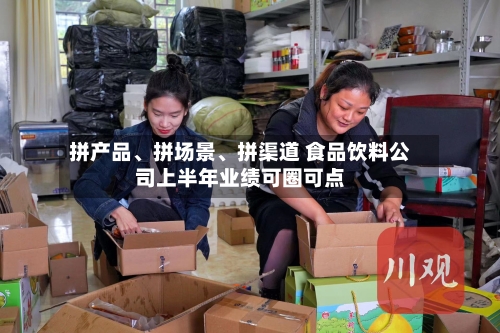 拼产品、拼场景、拼渠道 食品饮料公司上半年业绩可圈可点-第3张图片