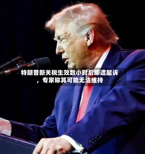 特朗普新关税生效数小时后即遭起诉，专家称其可能无法维持-第2张图片