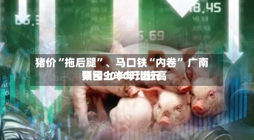 猪价“拖后腿”	、马口铁“内卷” 广南集团上半年比较高预亏9000万港元-第2张图片