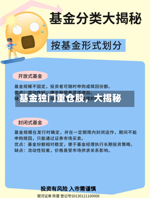 基金独门重仓股，大揭秘-第3张图片