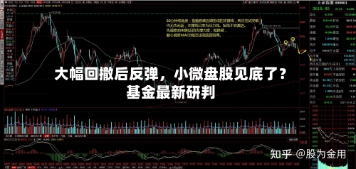 大幅回撤后反弹，小微盘股见底了？基金最新研判-第2张图片